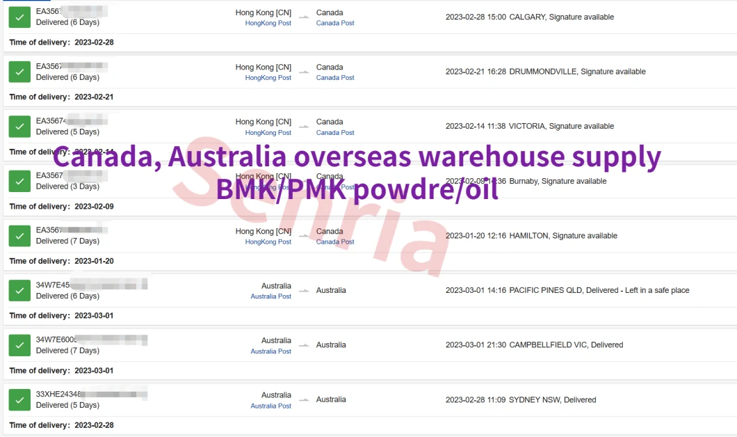 Free Freight Pharmaceutical Intermediate (4 Fluoro-Phenyl) Piperidin 4-Yl-Amine Dihydrochlo CAS 1193389-70-6 with Best Price